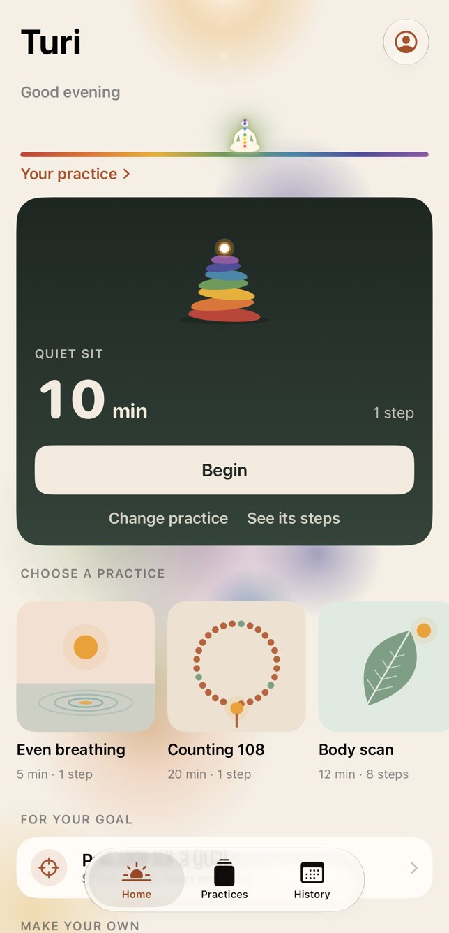 Turi Home: a 10 minute quiet sit ready to begin, with practices to choose from below